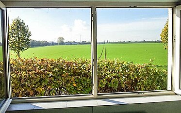 Feldblick durch das Fenster einer unserer Mietwohnungen in Köln-Weiß