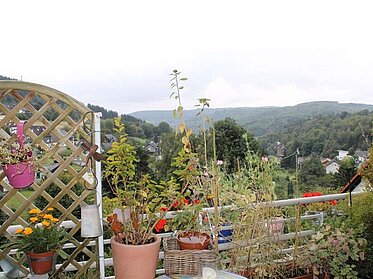Aussicht vom bepflanzten Balkon eines unserer Mietobjekte in Siegen
