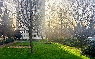 Grünstreifen mit Bäumen vor einem unserer Mietobjekte in Köln-Ostheim